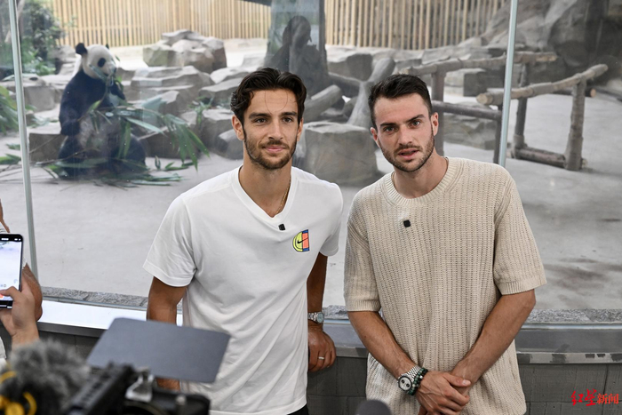 防線提供了 防線提供了