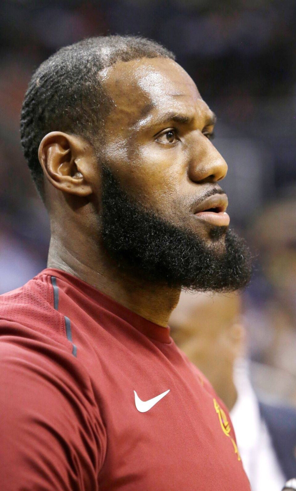 心率功率区 心率功率区