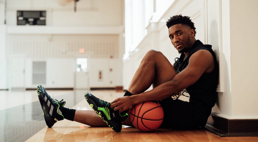 白天观赛 白天观赛