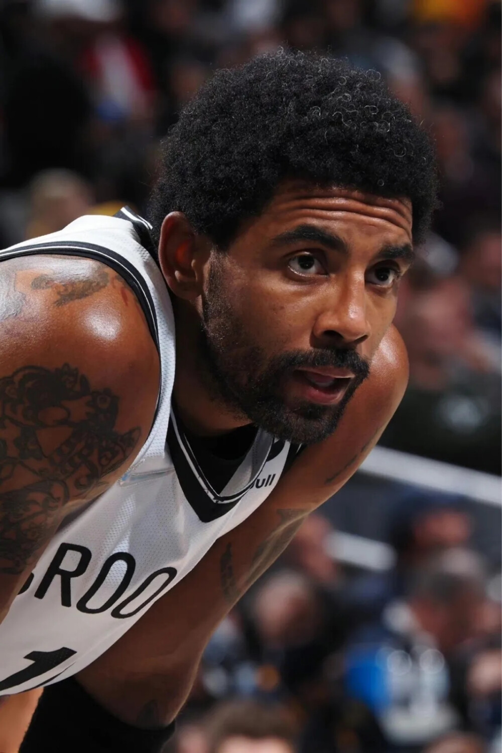 吸引赫罗纳 吸引赫罗纳